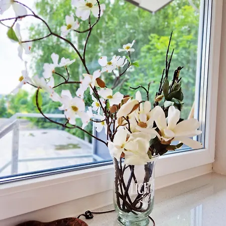 Weserufer 3* Brake (Wesermarsch)